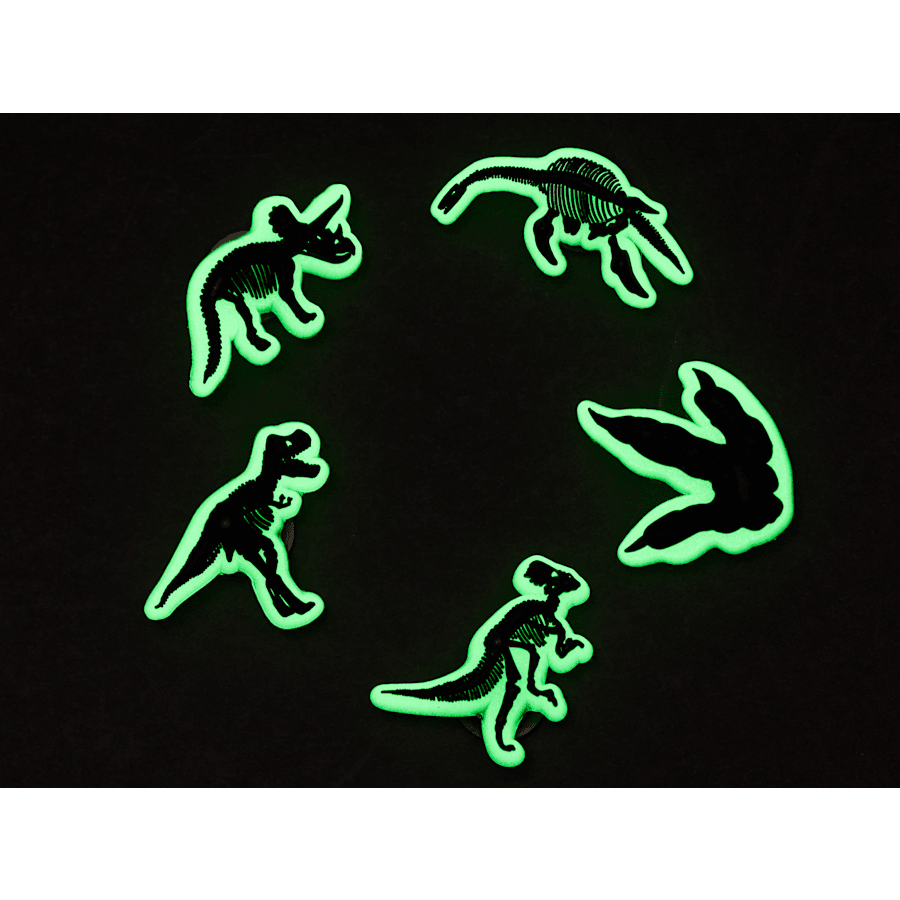 Glow In The Dark Dino 5 Pack Jibbitz Shoe Charm - Crocs