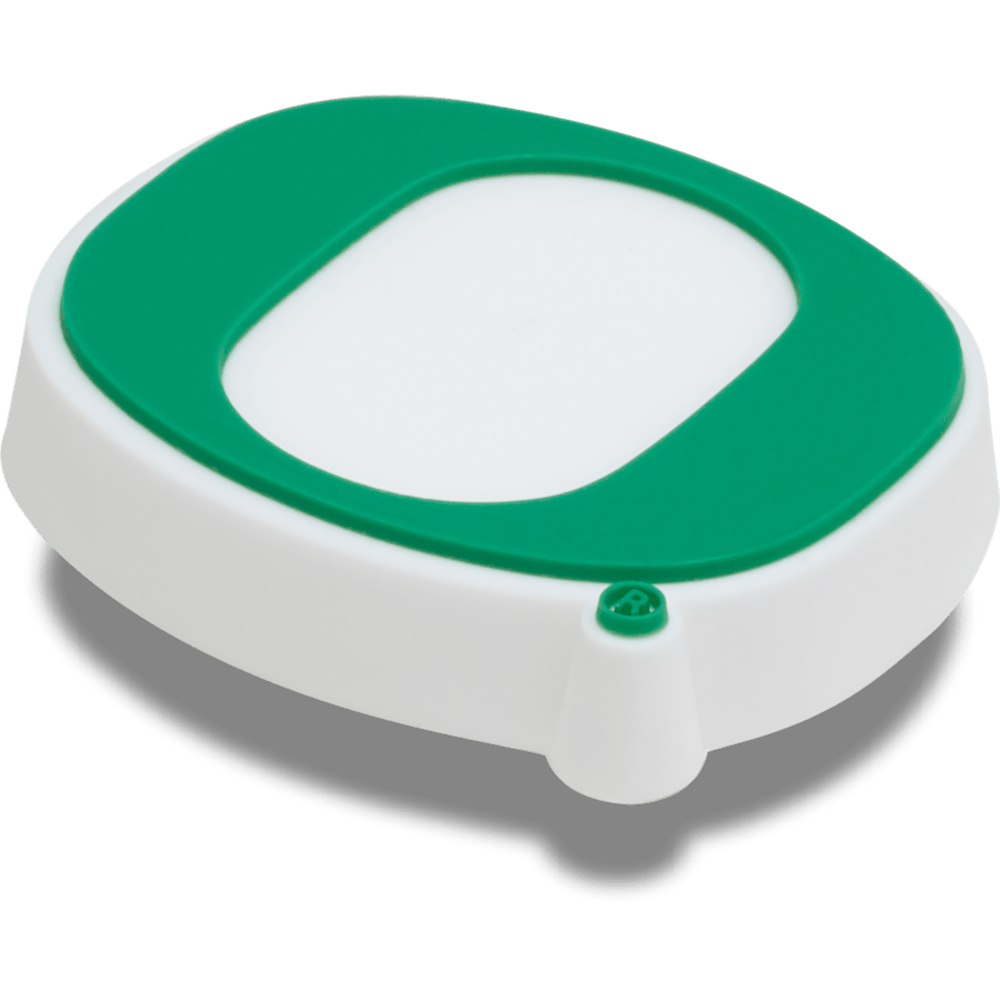 University of Oregon Jibbitz™ charms - Crocs