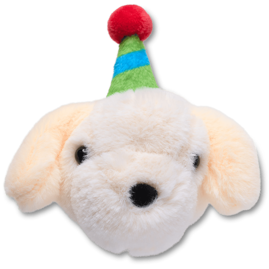 Record Your Own Sound Birthday Jibbitz™ charms - Crocs