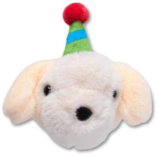 Record Your Own Sound Birthday Jibbitz™ charms - Crocs