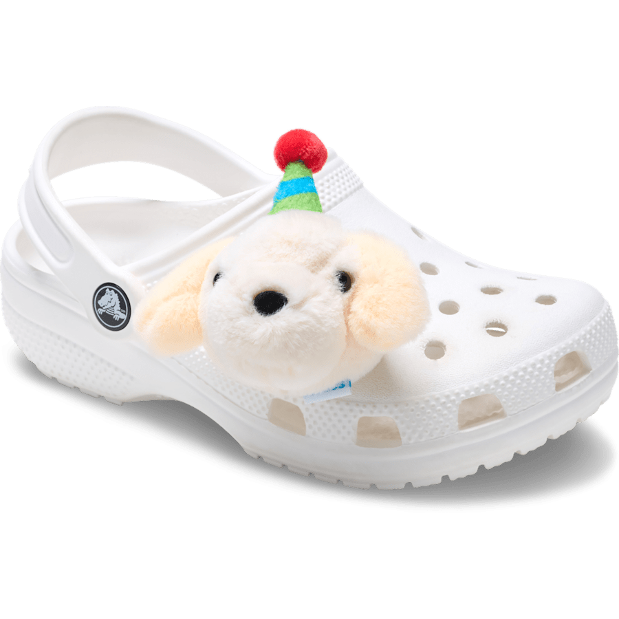Record Your Own Sound Birthday Jibbitz™ charms - Crocs